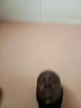 Snapshot of Landlordlandlord12 chatting on 25, 3, 2026 Landlordlandlord12 online show from 25, 3, 2026