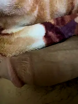 hamed-697 online show from 2, 12, 2024