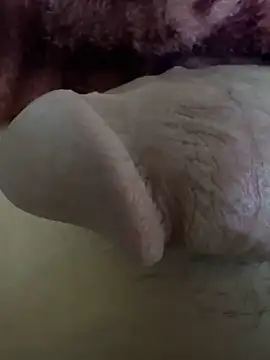 hamed-697 online show from 6, 12, 2024