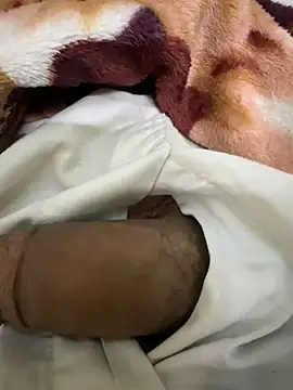 hamed-697 online show from 9, 12, 2024