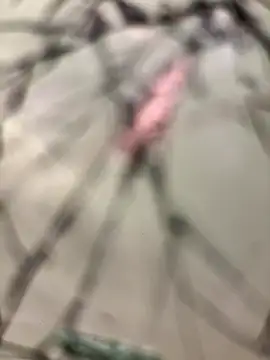 Snapshot of lescro95_ chatting on 14, 12, 2025 lescro95 online show from 14, 12, 2025