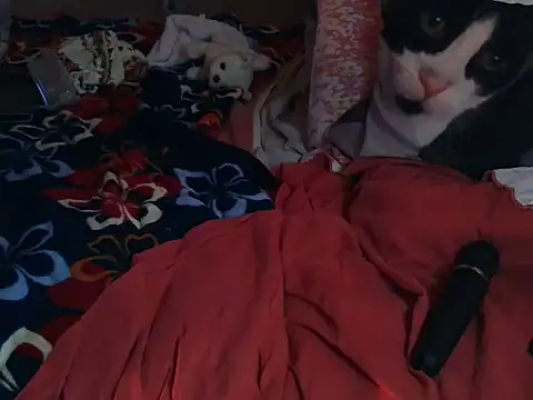 VeneRed online show from 8, 3, 2026