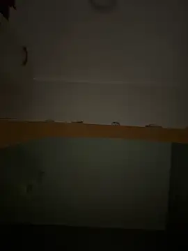 Lecatore80 online show from 16, 11, 2025