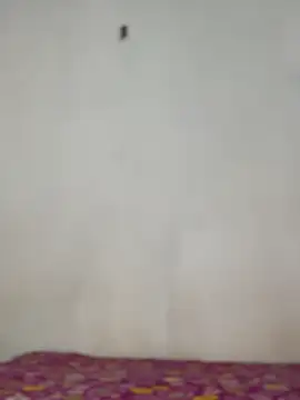 Nicole cute1 online show from 30, 11, 2025