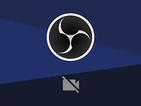 little cataleya online show from 7, 12, 2024