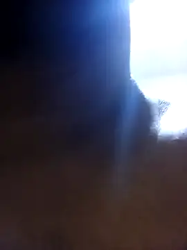 Nogeris20 online show from 21, 9, 2025