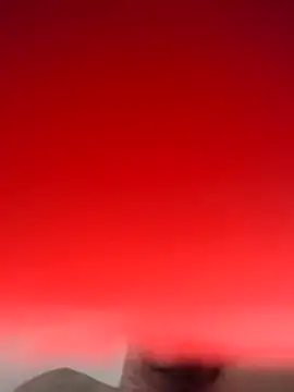 amostbb online show from 19, 2, 2026