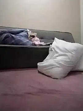 Luci foxx online show from 19, 3, 2026