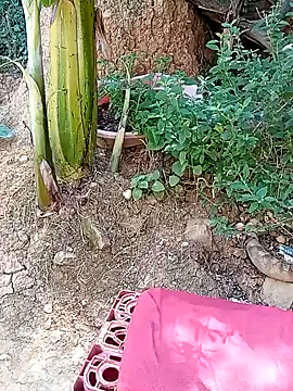 tayson  online show from 11, 1, 2025