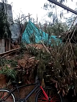 tayson  online show from 7, 2, 2026