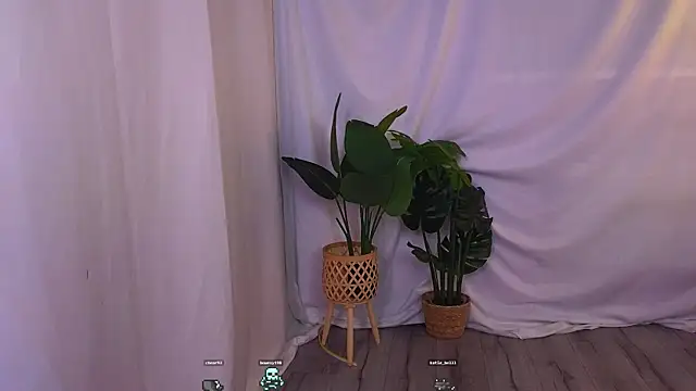 Snapshot of AlisiaSpinnet_ chatting on 19, 12, 2024 AlisiaSpinnet online show from 19, 12, 2024
