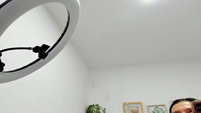 megan 29 online show from 21, 4, 2026