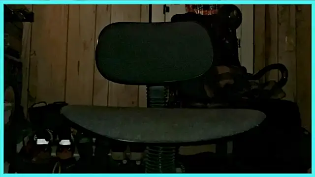 DickieDeeLuxxx online show from 17, 12, 2025