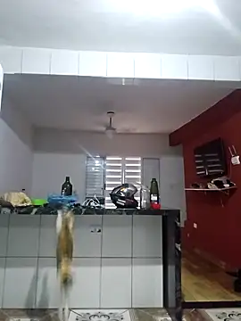 Snapshot of VibratedPoaching chatting on 19, 3, 2026 VibratedPoaching online show from 19, 3, 2026