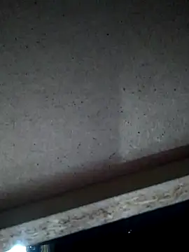 Leocesar37 online show from 15, 11, 2025