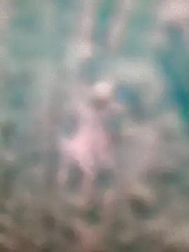 Snapshot of Whiskyboye chatting on 30, 11, 2025 Whiskyboye online show from 30, 11, 2025