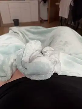 kareem0010 online show from 15, 9, 2025