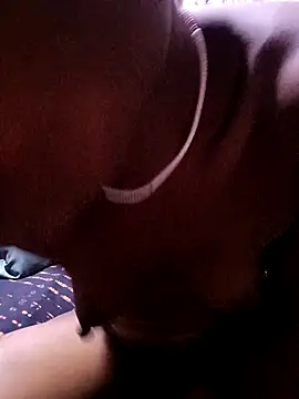 TastyAfrica online show from 1, 11, 2025