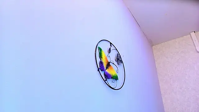 Amy wats0n online show from 28, 2, 2026