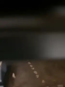 evoscenteno online show from 30, 12, 2024