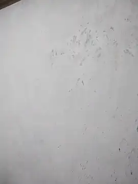 black cobra70 online show from 26, 10, 2025