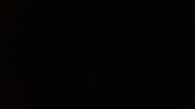        the online show from 14, 12, 2025