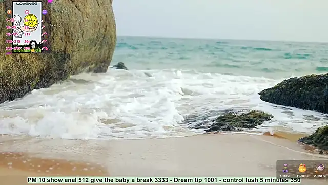  sex in paradise  online show from 13, 12, 2024