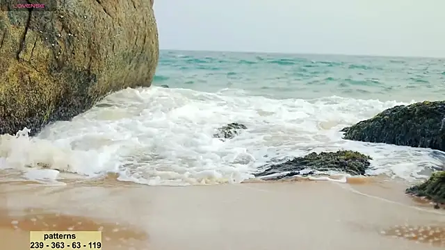  sex in paradise  online show from 16, 1, 2025