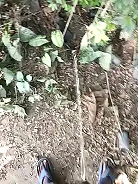 desicockblack online show from 3, 12, 2024