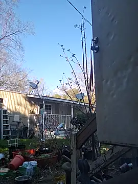 Beyond1978 online show from 10, 3, 2026