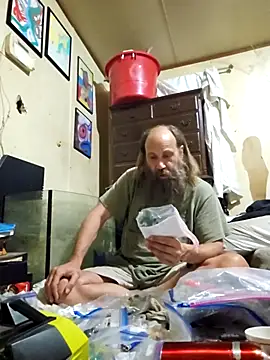 Beyond1978 online show from 3, 4, 2026