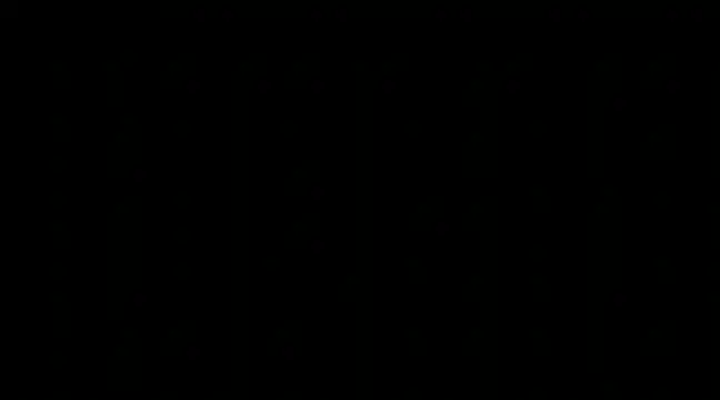 paladerler online show from 13, 12, 2024