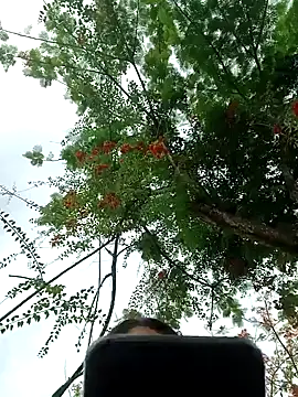 Snapshot of Karol-kamila19 chatting on 3, 12, 2024 Karol-kamila19 online show from 3, 12, 2024