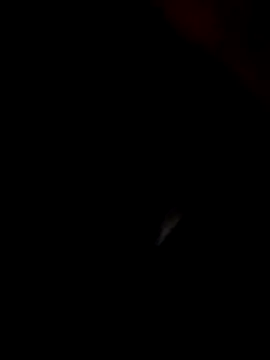 Kasandra Ho online show from 22, 1, 2025