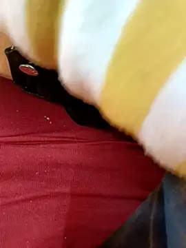 QUEEN-X-CPL online show from 15, 1, 2025