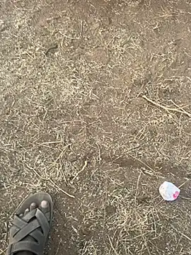 tamil000000 online show from 10, 3, 2025