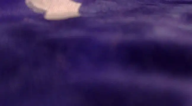 Snapshot of Cute_Alaina chatting on 7, 2, 2025 Cute Alaina online show from 7, 2, 2025
