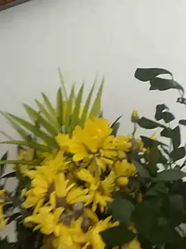 MireyaTorresGu online show from 4, 3, 2026