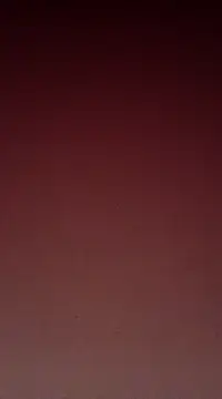 Sexy-Mona2 online show from 13, 12, 2024