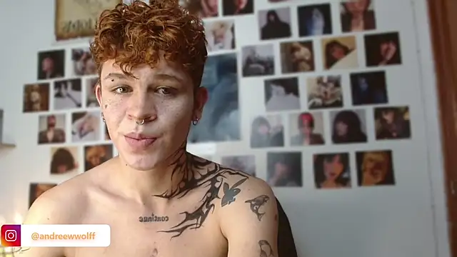 andrewWolffman online show from 15, 12, 2024