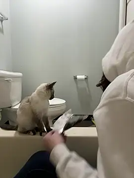 Snapshot of HotMessStilltheBest chatting on 21, 1, 2025 HotMessStilltheBest online show from 21, 1, 2025