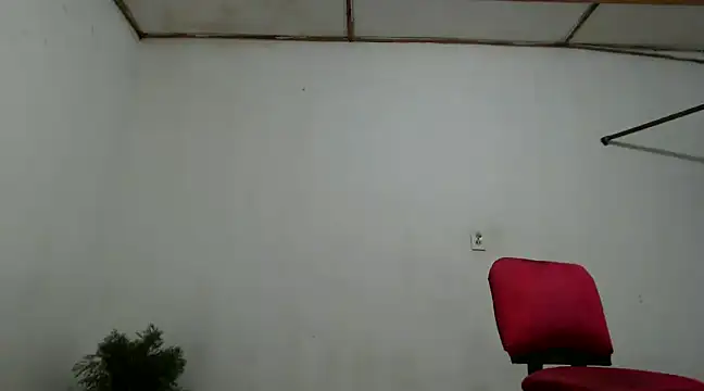 fernandez latinblackk online show from 4, 12, 2024