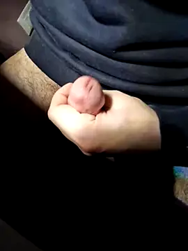 HardWolf2024 online show from 23, 1, 2025