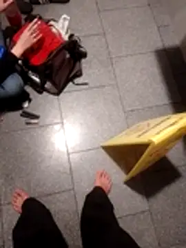 subaru8291 online show from 30, 10, 2025