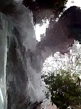 subaru8291 online show from 8, 1, 2026