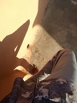 PracticalGum40 online show from 11, 1, 2026