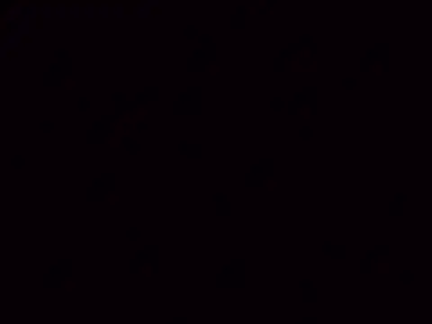 Snapshot of Nailahex chatting on 5, 11, 2025 Nailahex online show from 5, 11, 2025