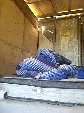 Carlosfkf online show from 4, 4, 2026