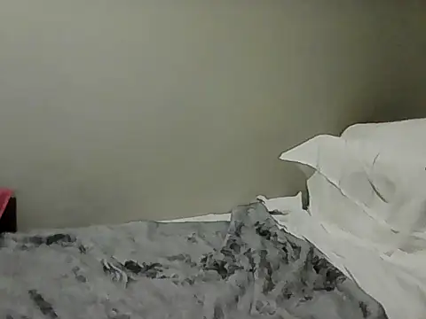 housewife shantie online show from 1, 11, 2025