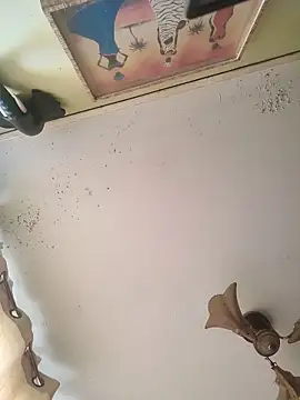 Snapshot of fandelosculos123 chatting on 17, 3, 2026 fandelosculos123 online show from 17, 3, 2026